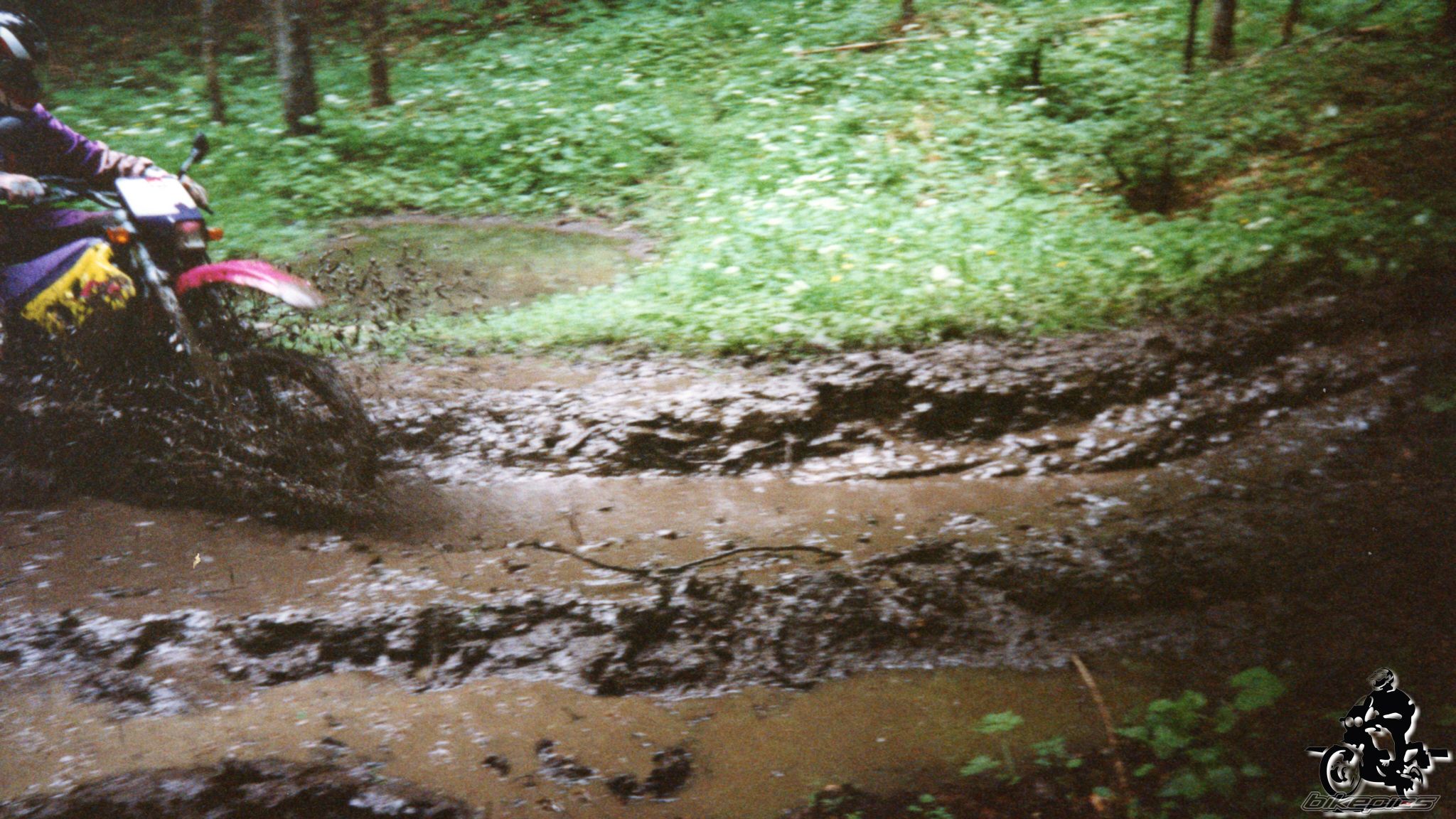 Photo 2528173