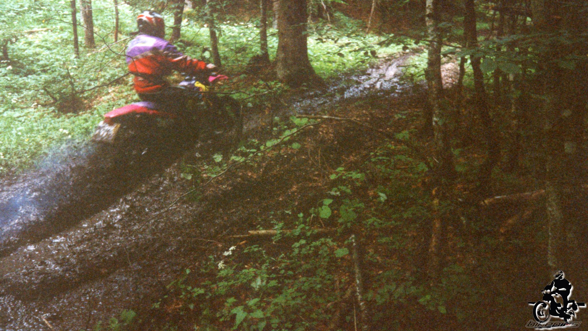 Photo 2528175