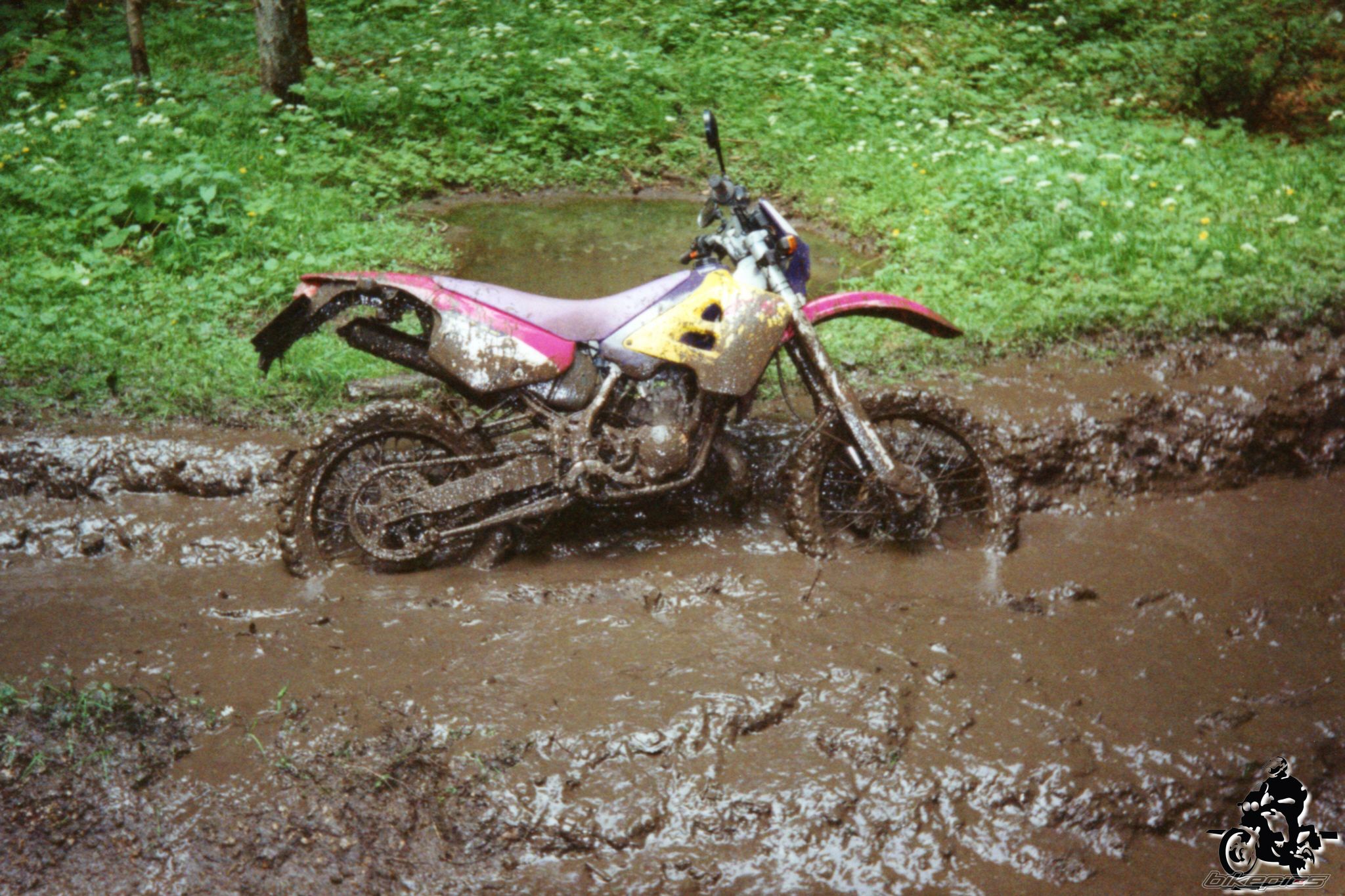 Photo 2528180