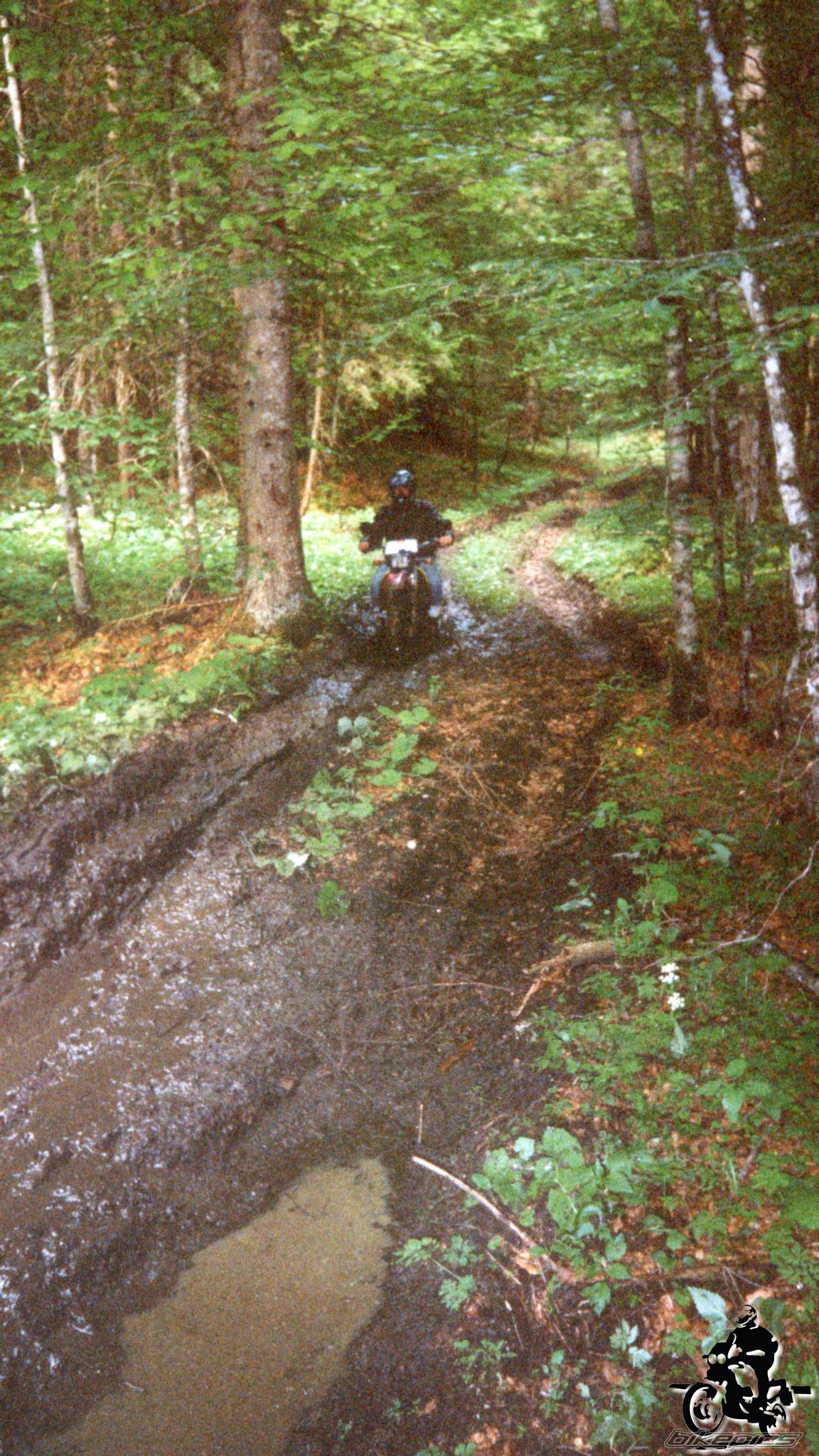 Photo 2528184
