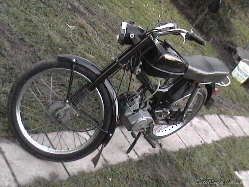 Photo 252819