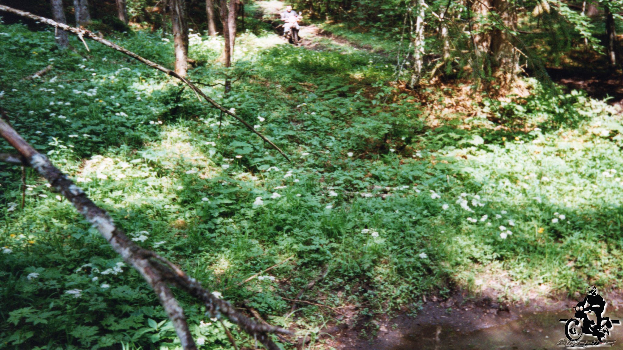 Photo 2528191
