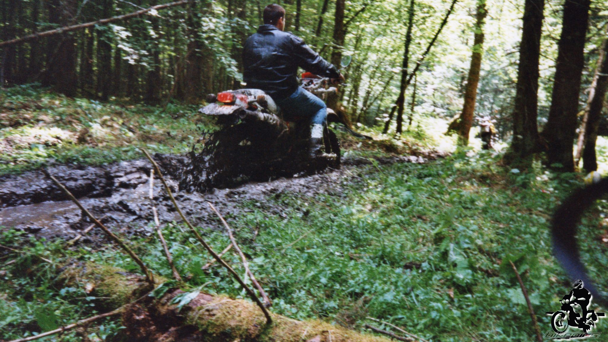 Photo 2528194