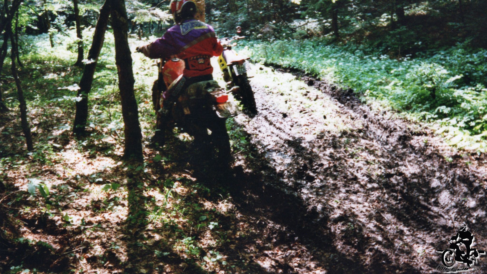 Photo 2528196