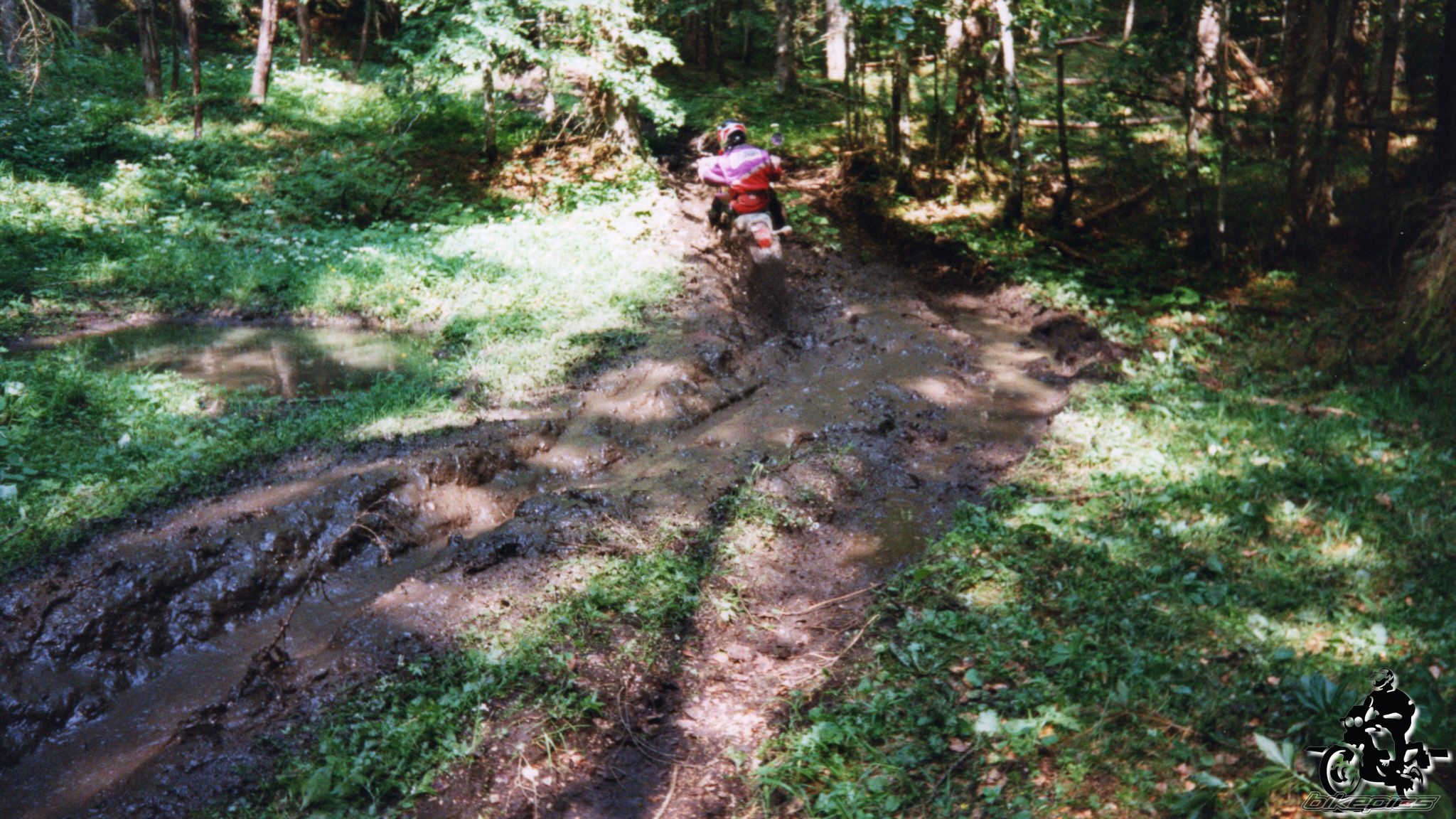 Photo 2528197