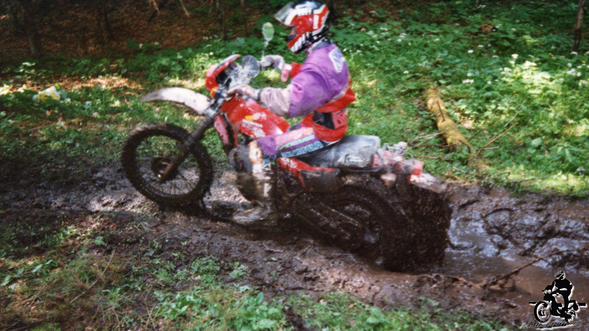 Photo 2528199