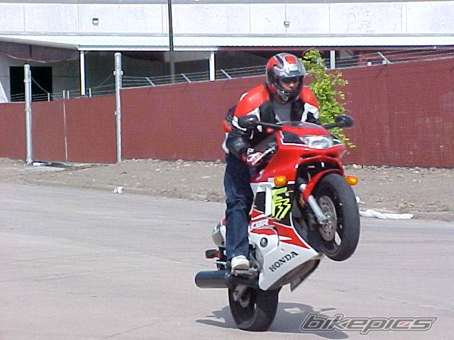 Photo 25282