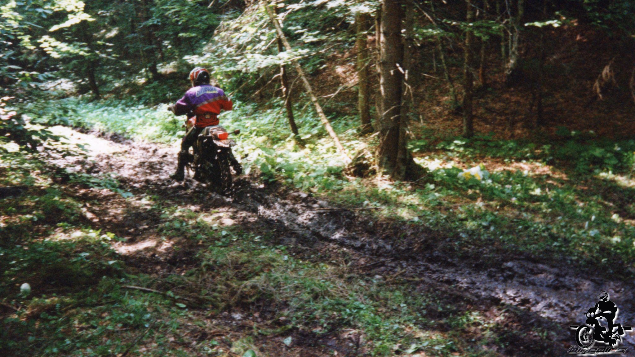 Photo 2528200