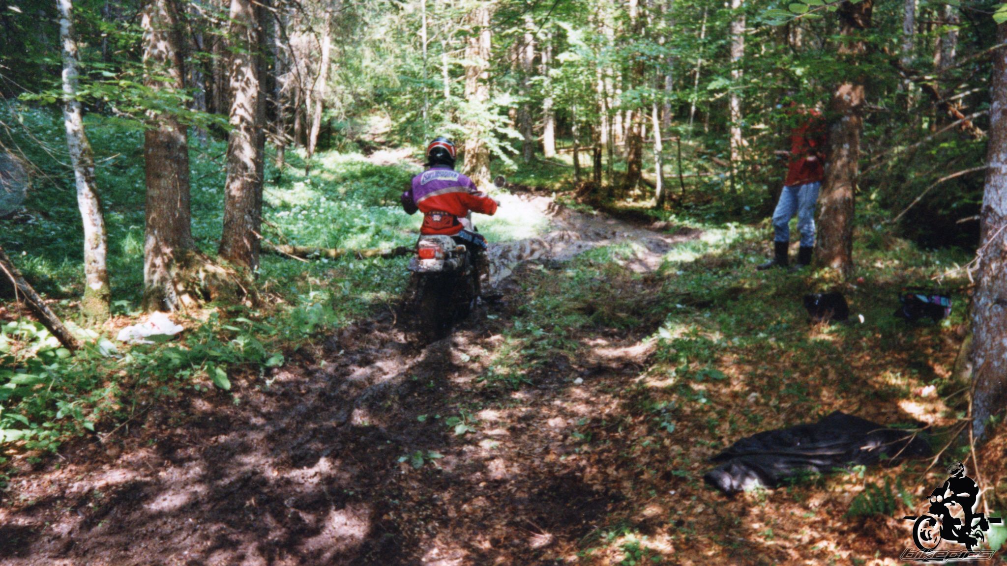 Photo 2528201