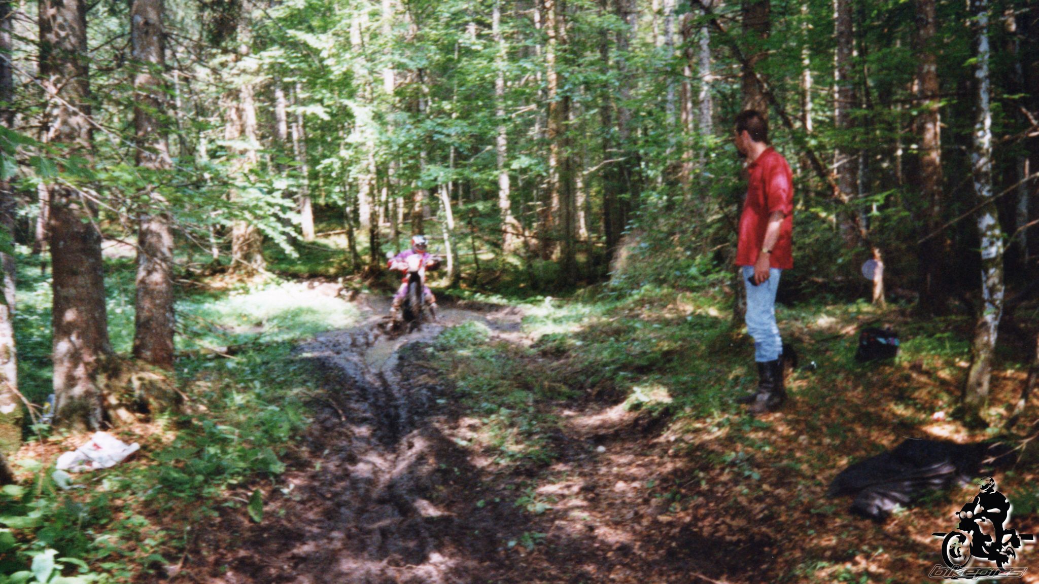 Photo 2528202