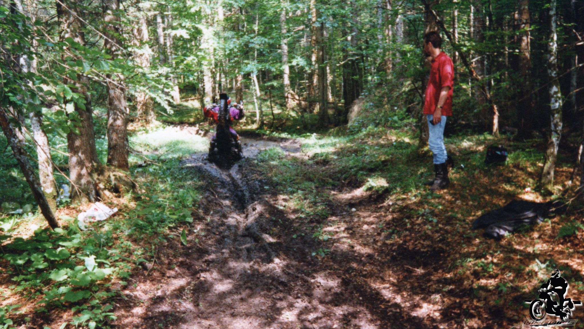 Photo 2528203