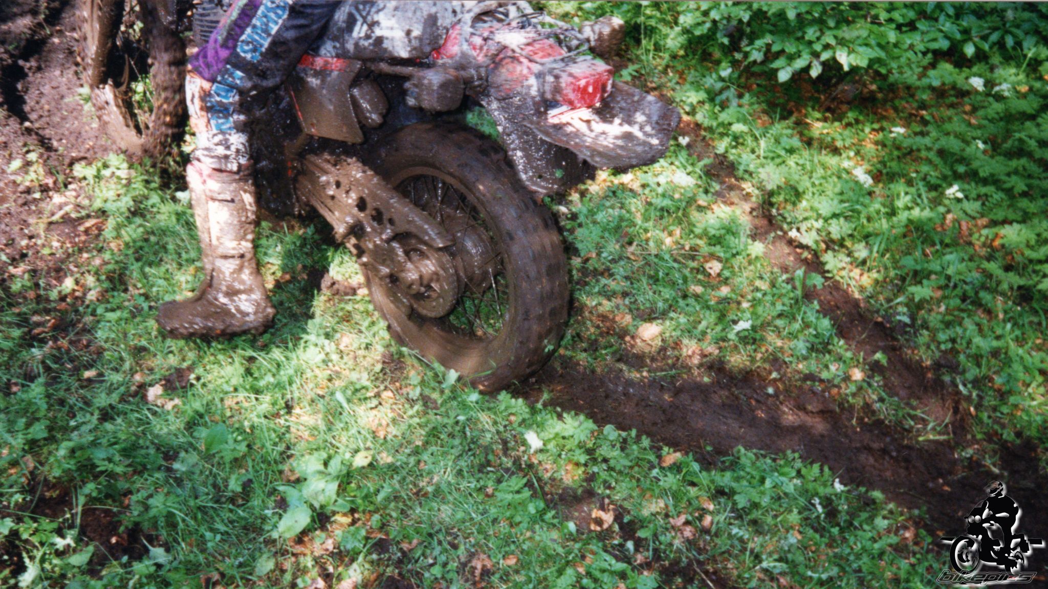 Photo 2528204
