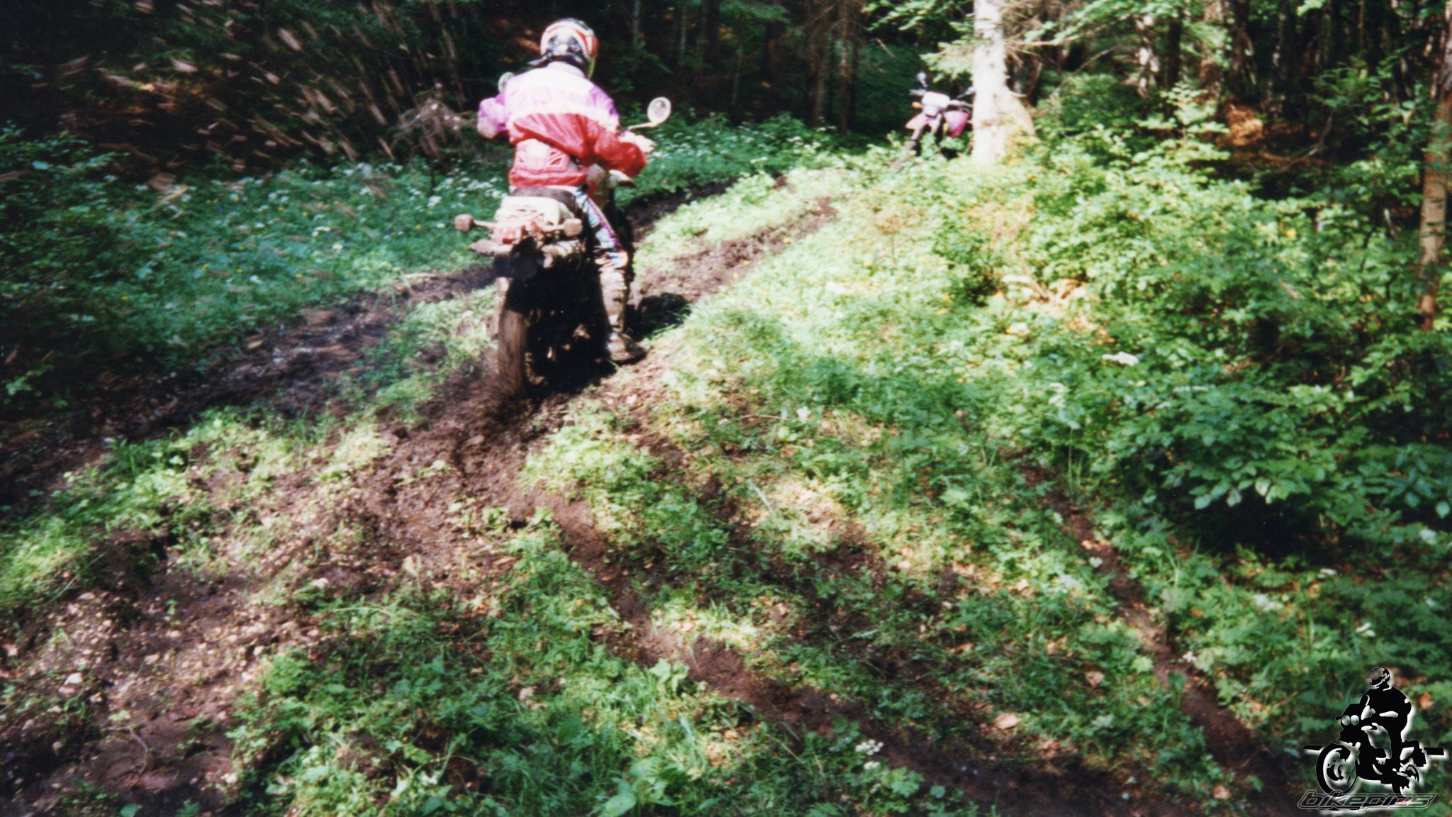Photo 2528205