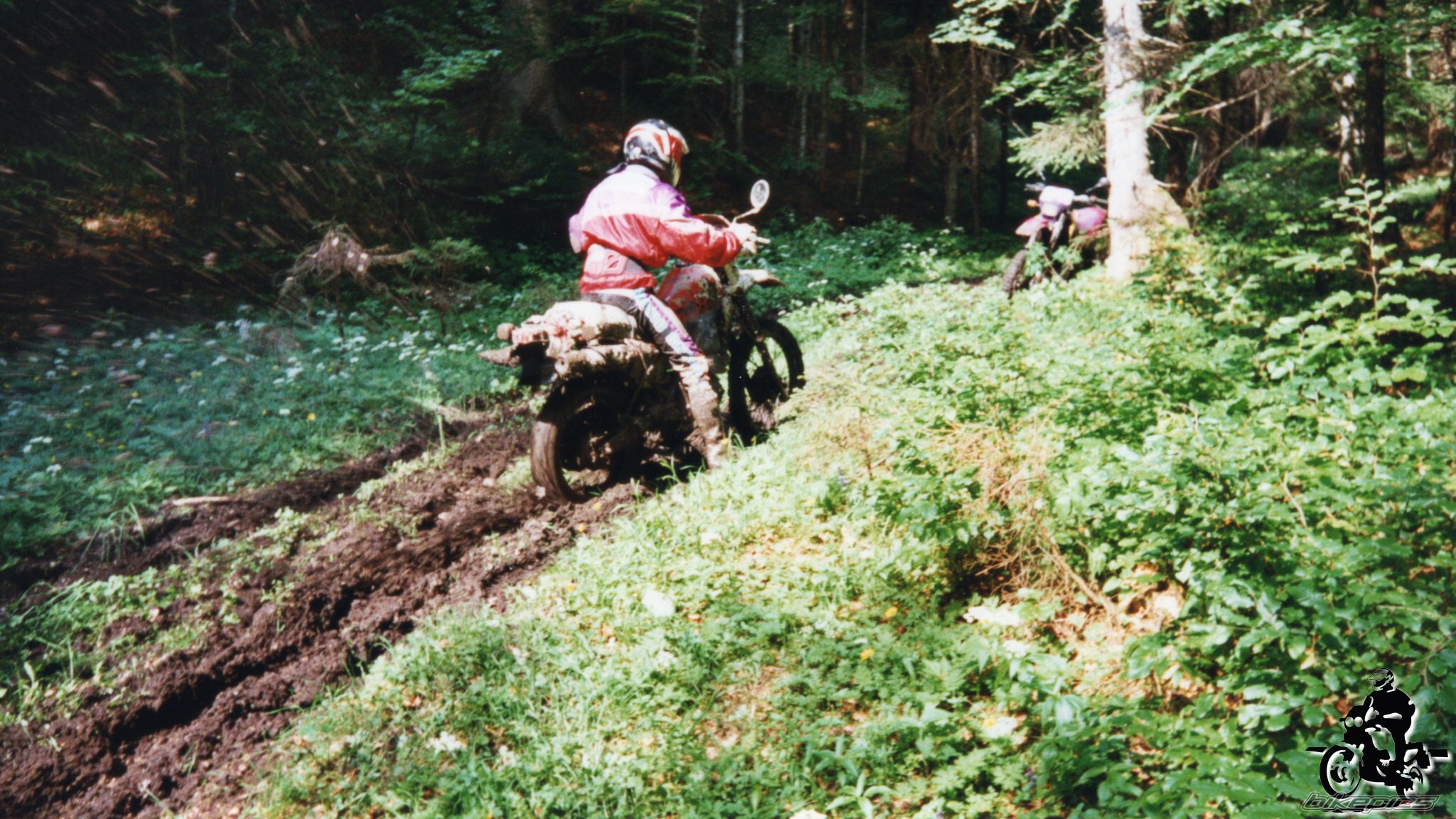 Photo 2528206