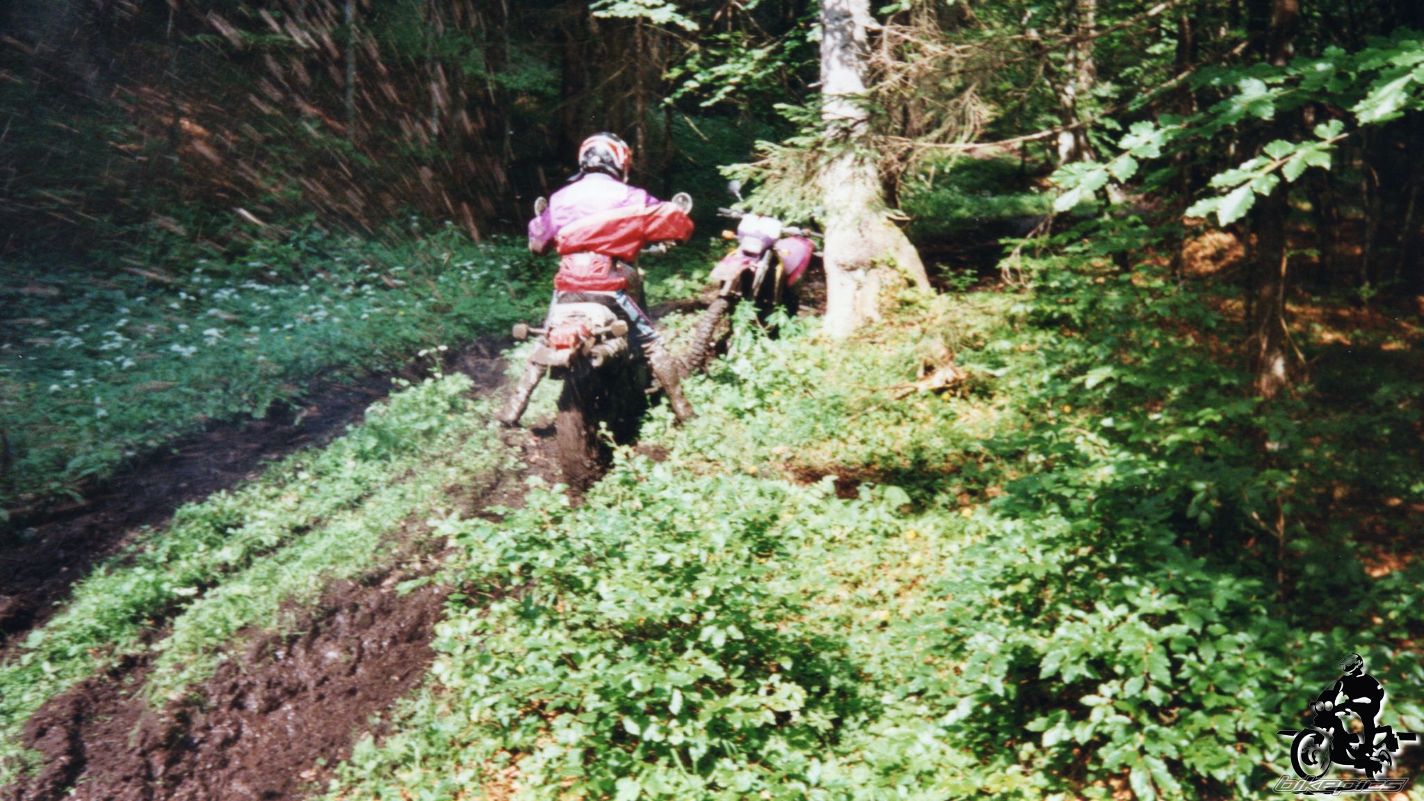 Photo 2528207