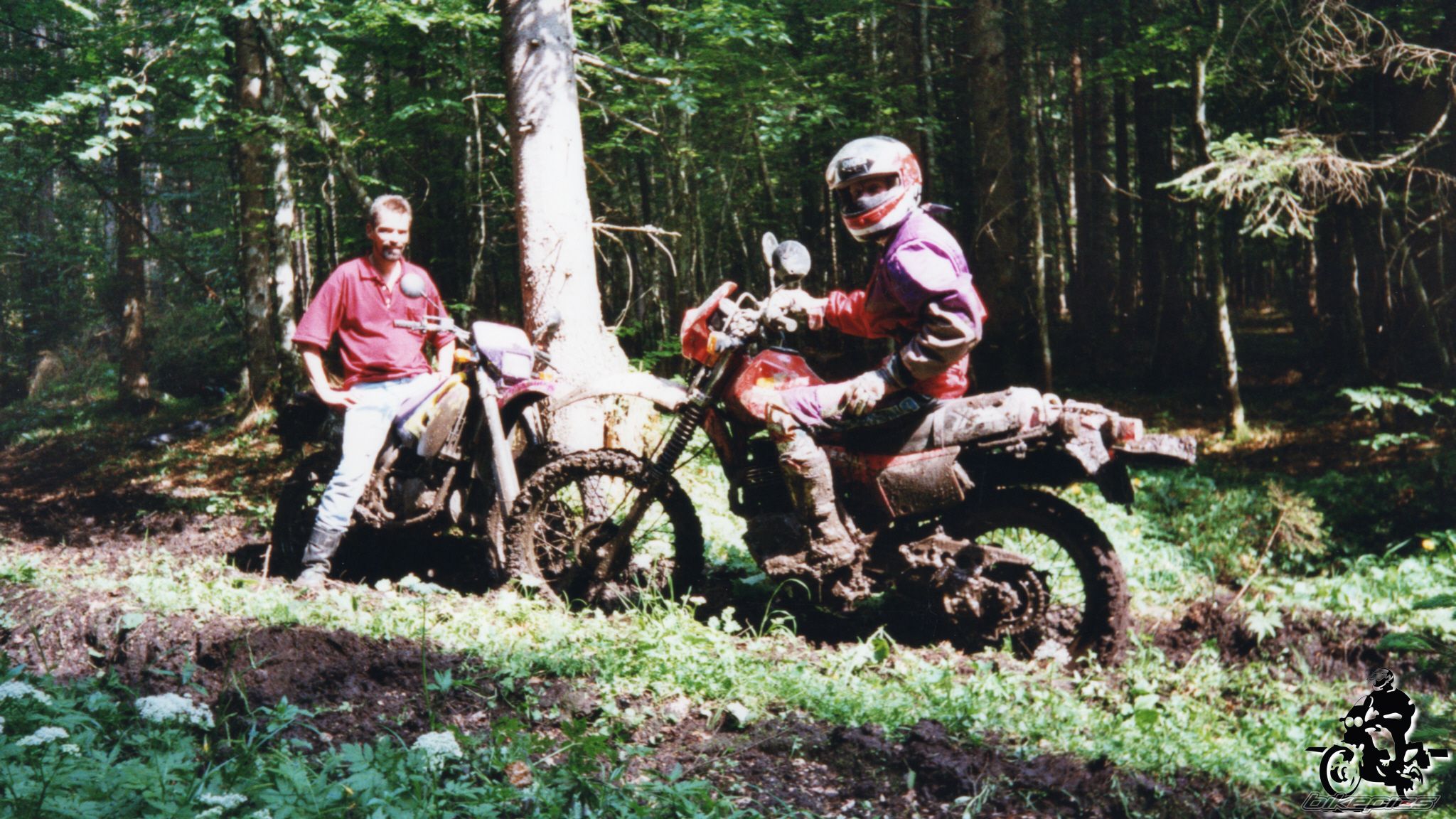 Photo 2528208