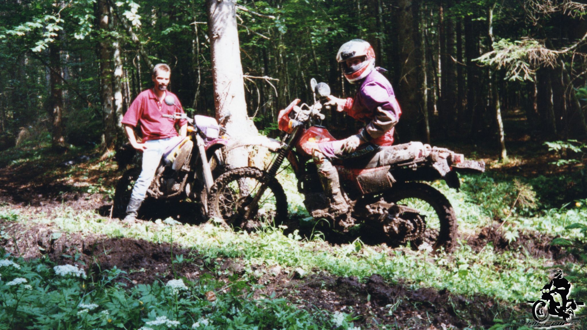 Photo 2528209