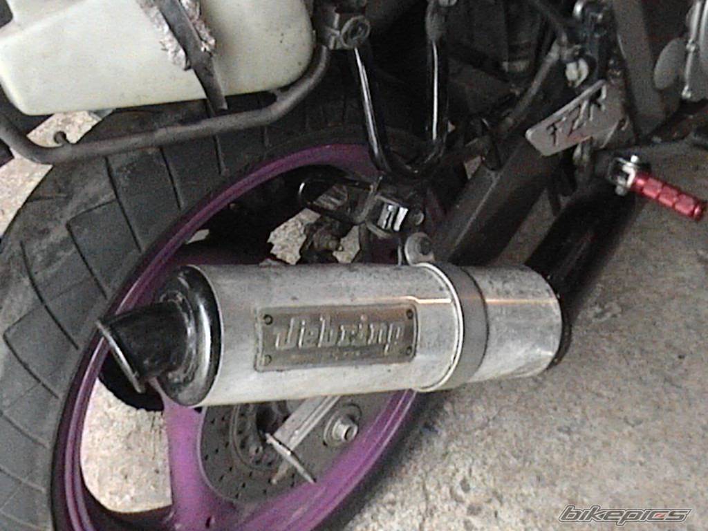 Photo 252822