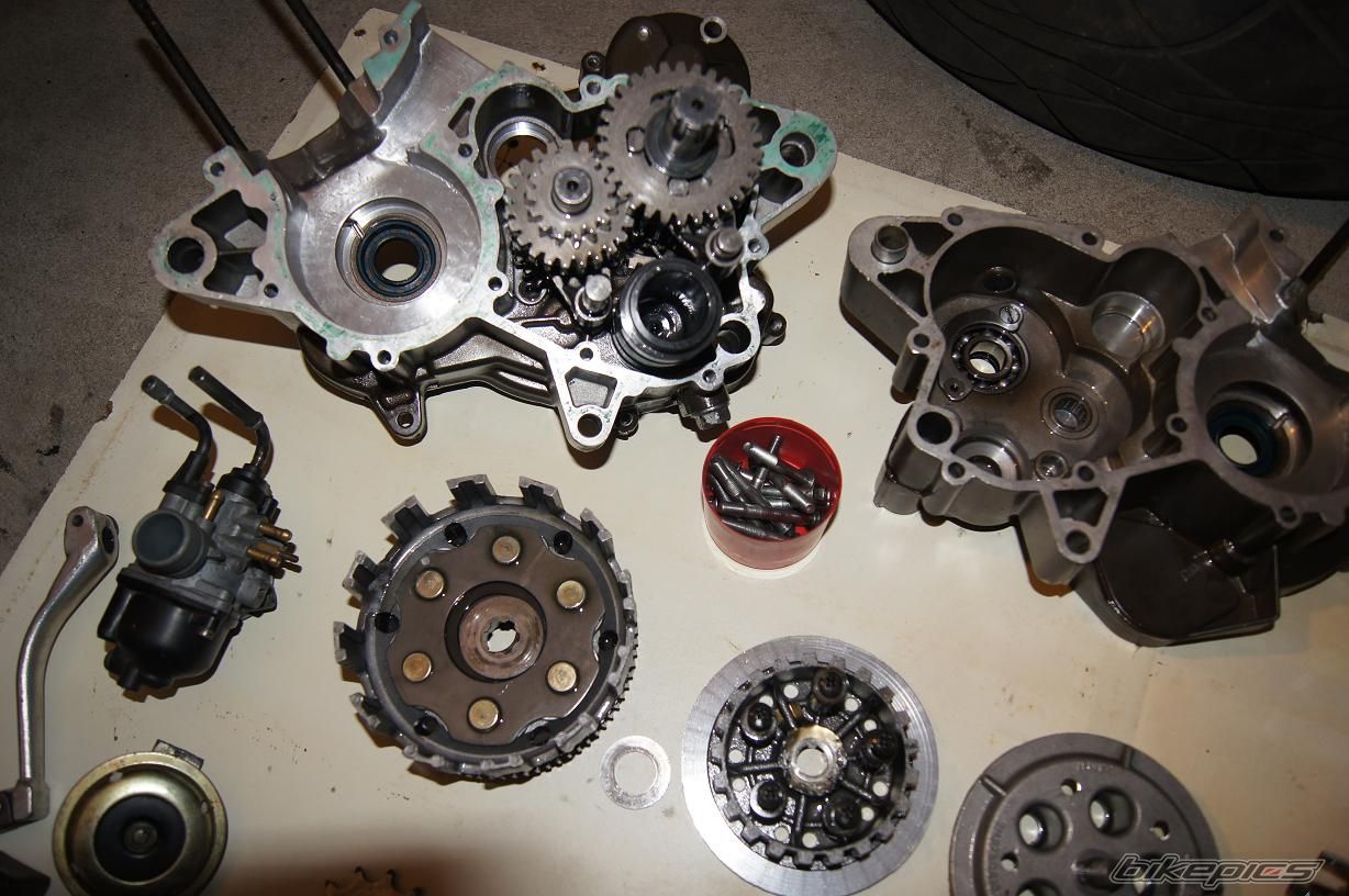 Photo 2528222