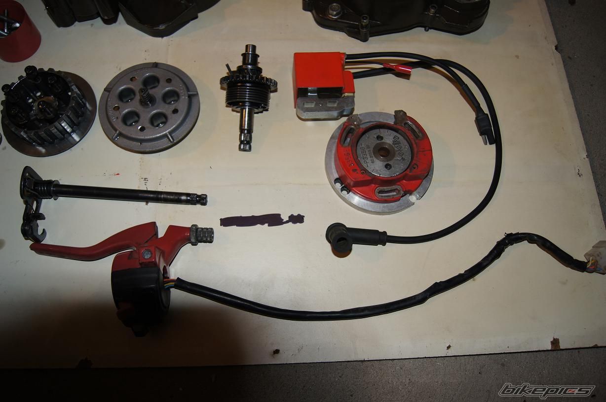 Photo 2528228