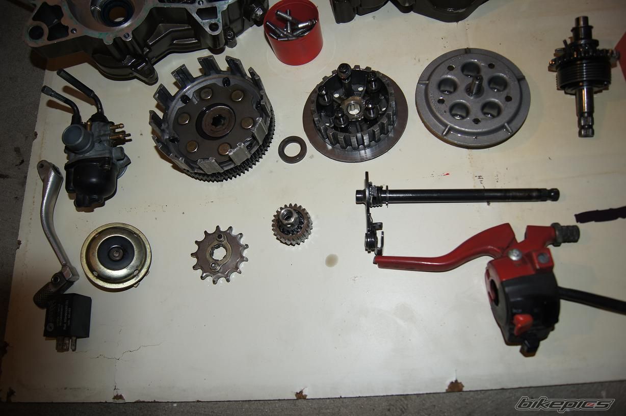 Photo 2528229