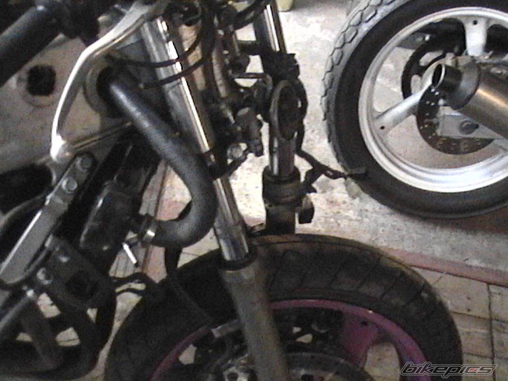 Photo 252823