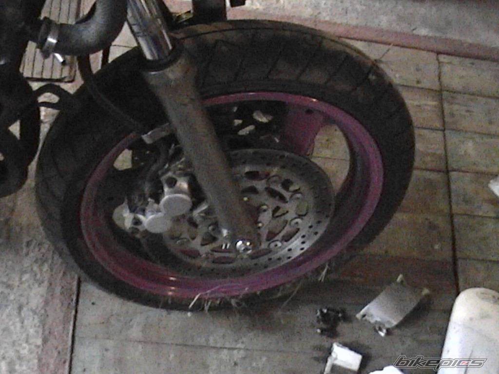 Photo 252824