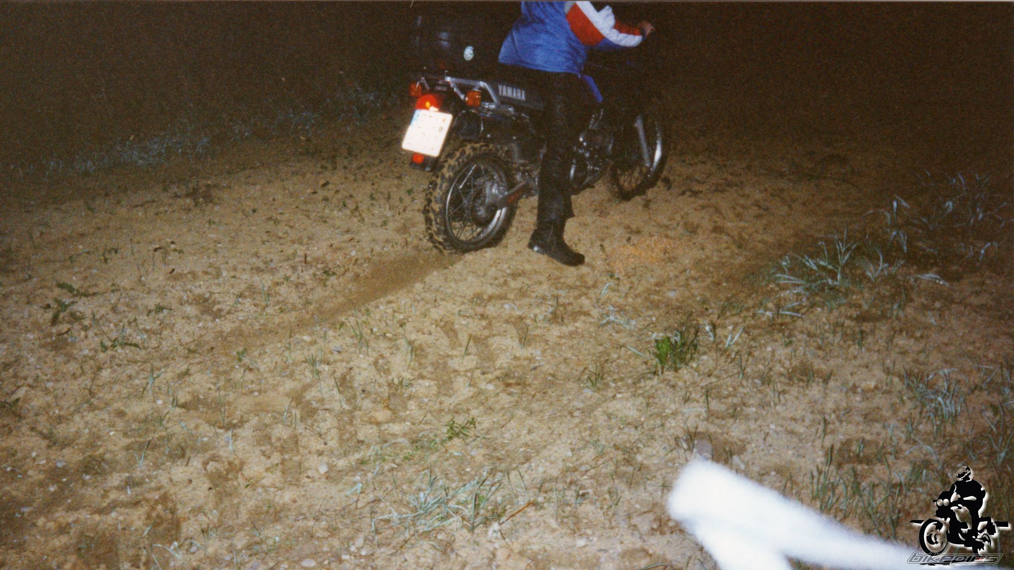 Photo 2528241