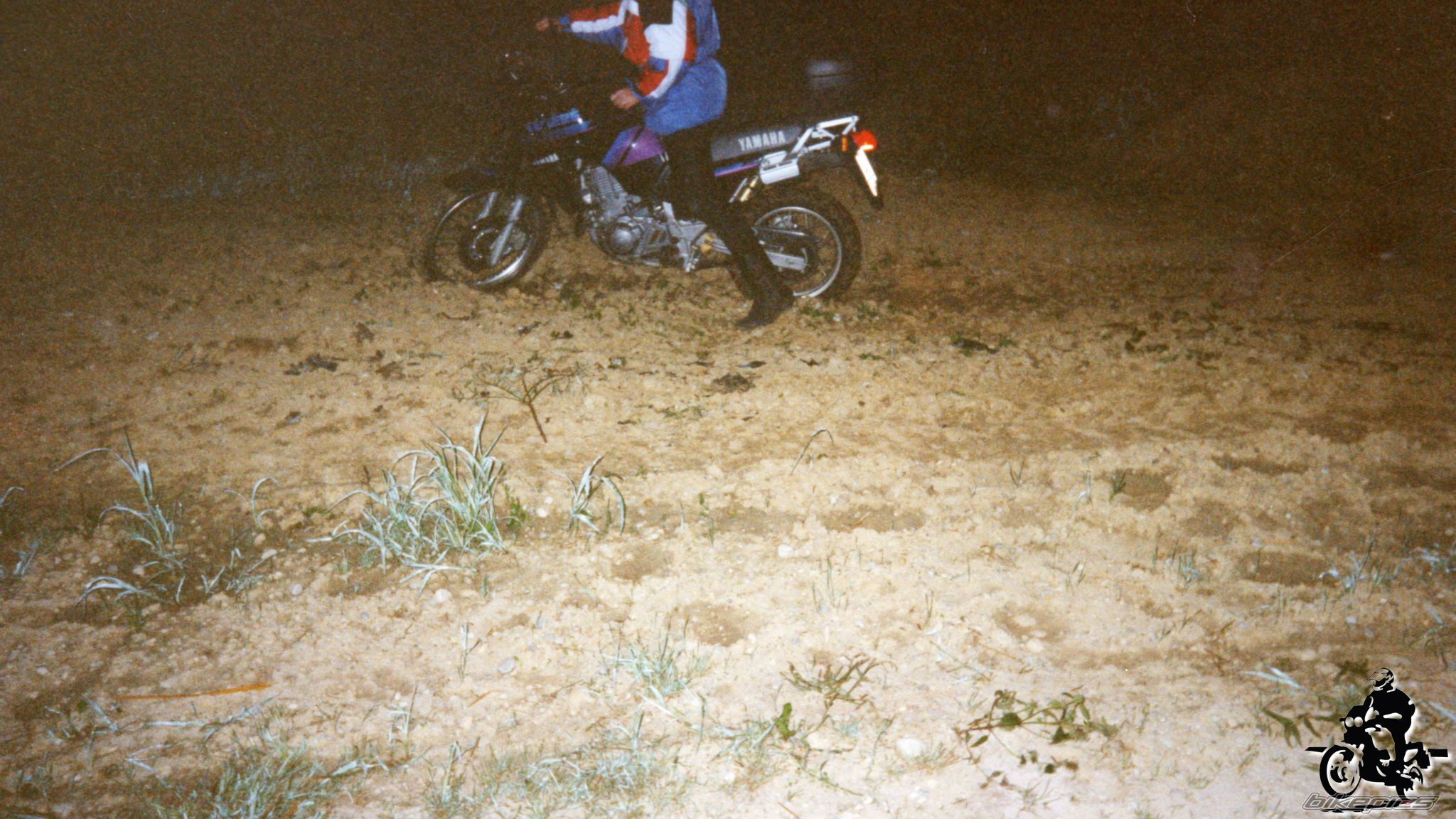 Photo 2528243