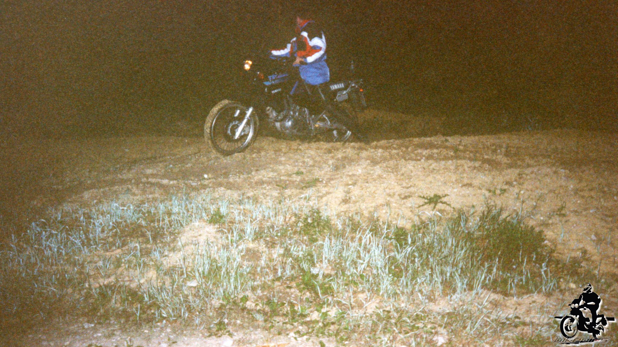 Photo 2528244