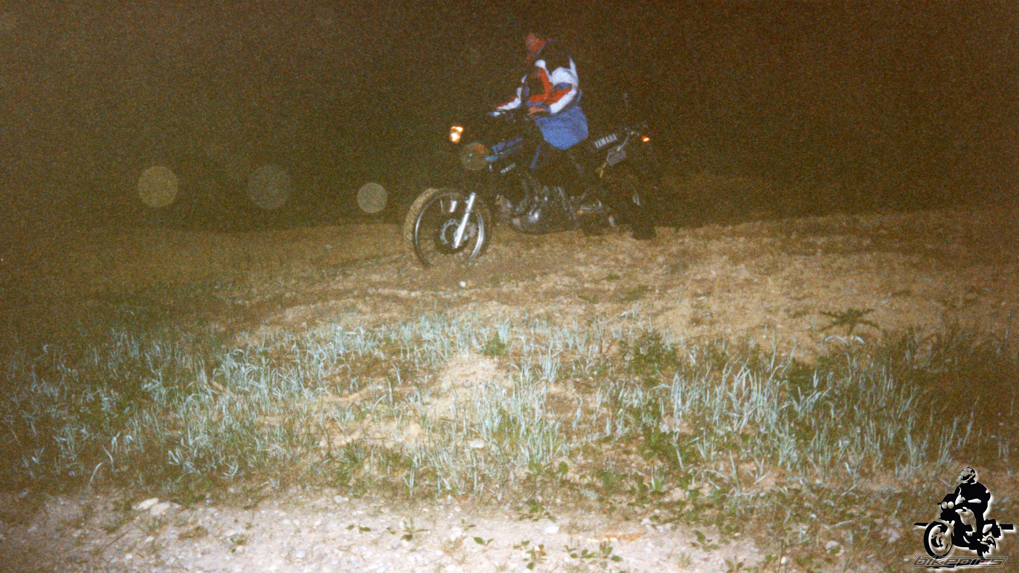 Photo 2528245