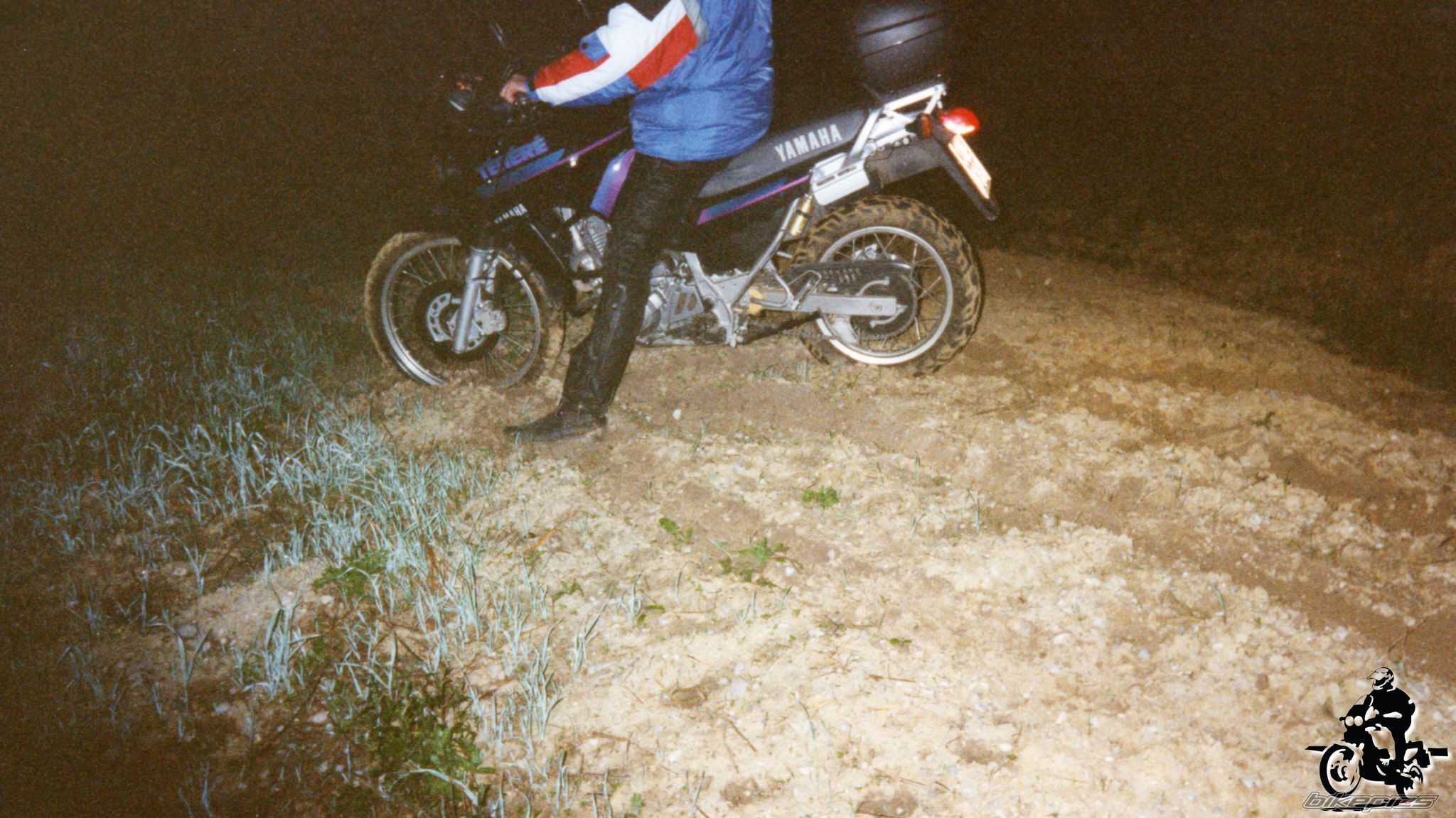 Photo 2528246
