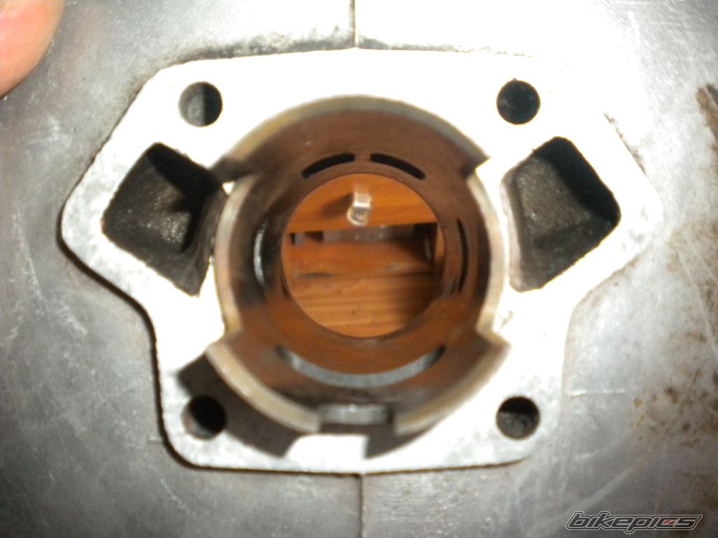 Photo 2528252