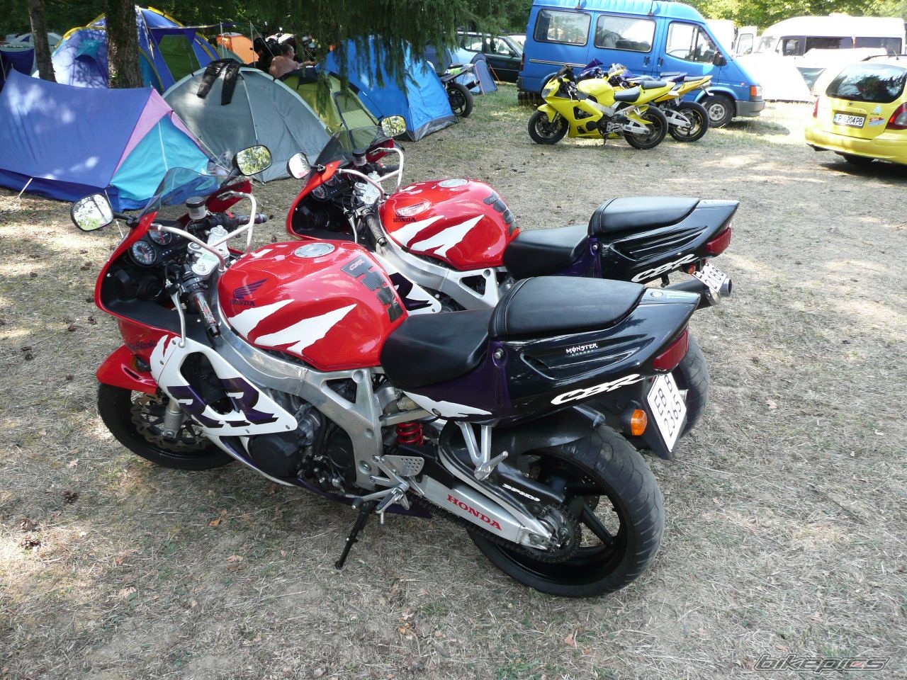 Photo 2528276