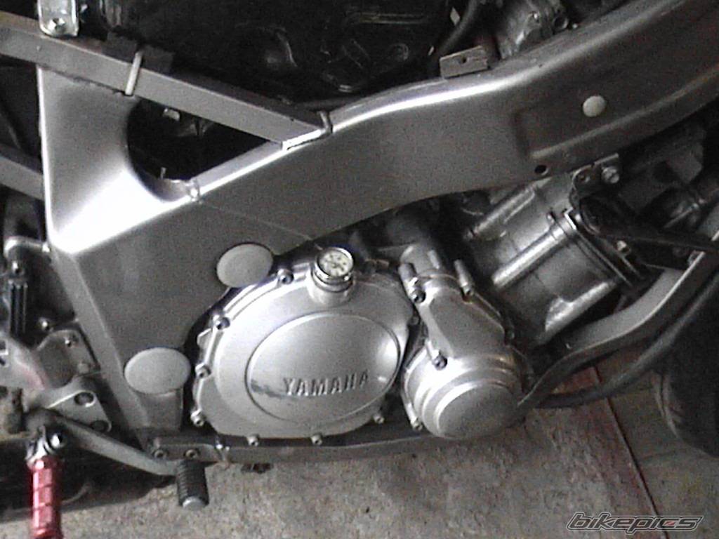 Photo 252828