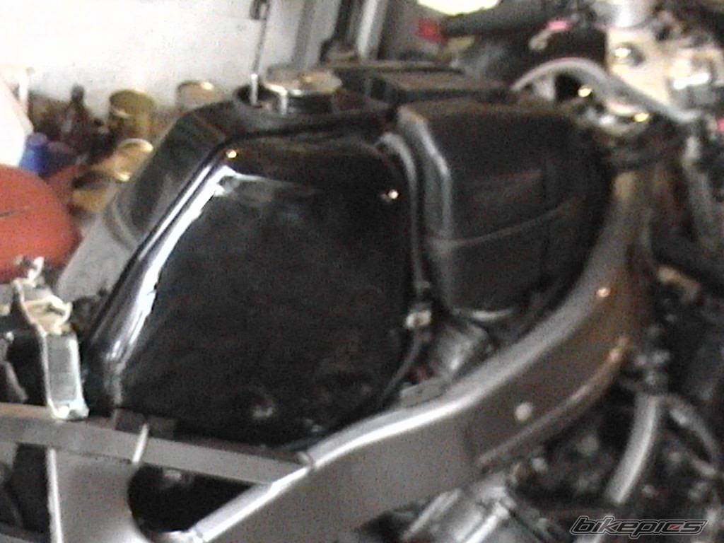 Photo 252829