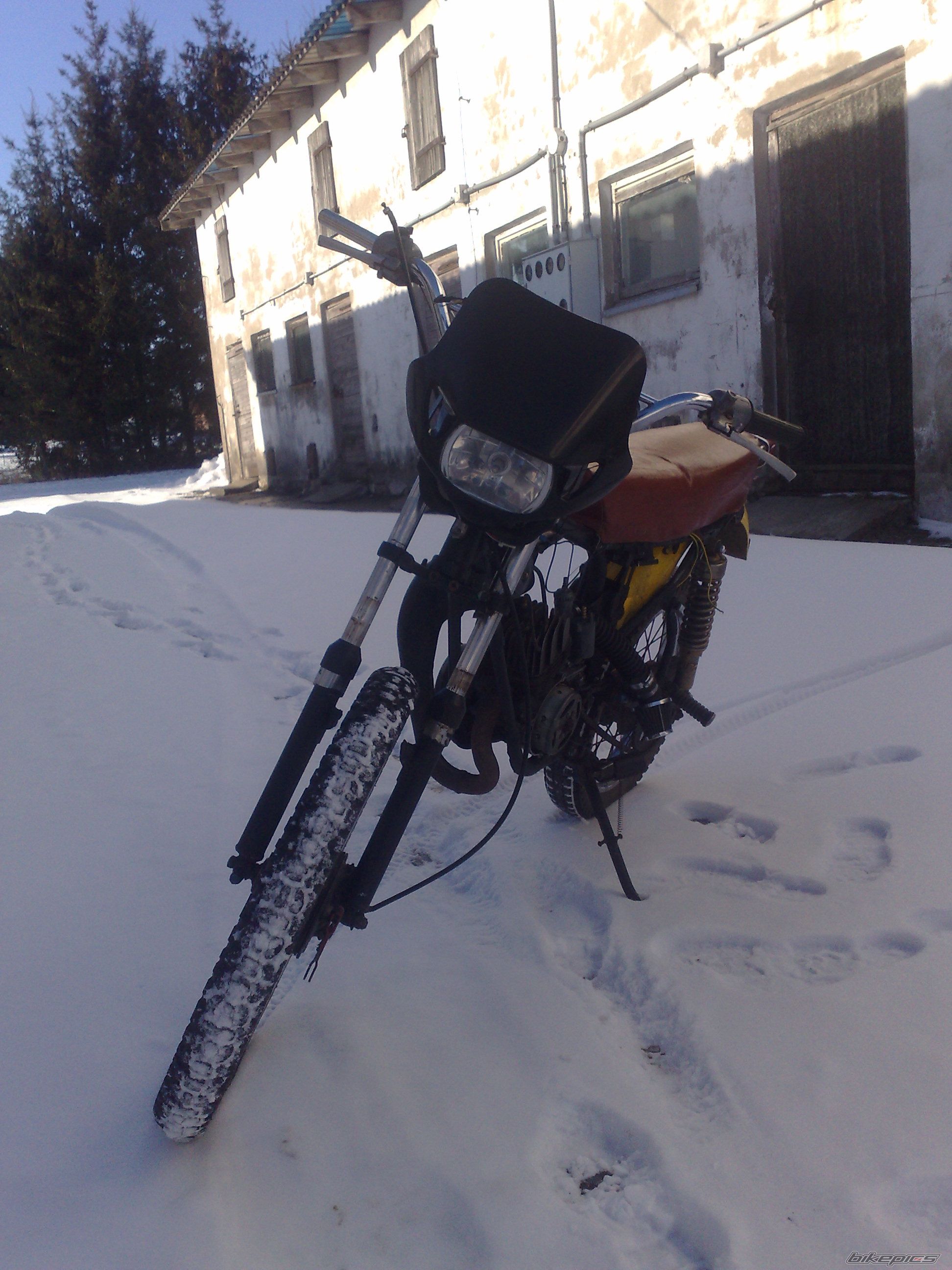 Photo 2528305