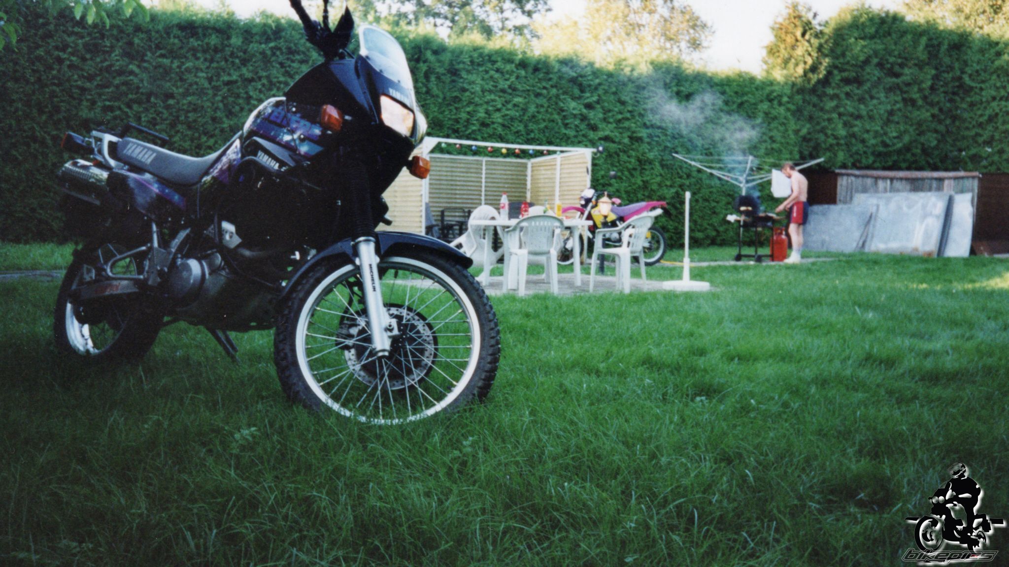 Photo 2528319