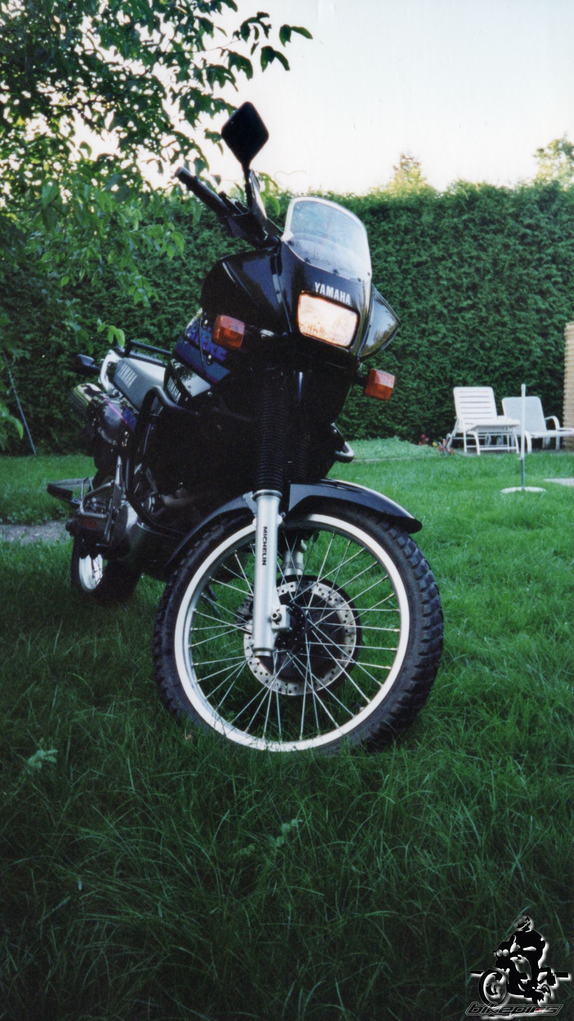 Photo 2528320