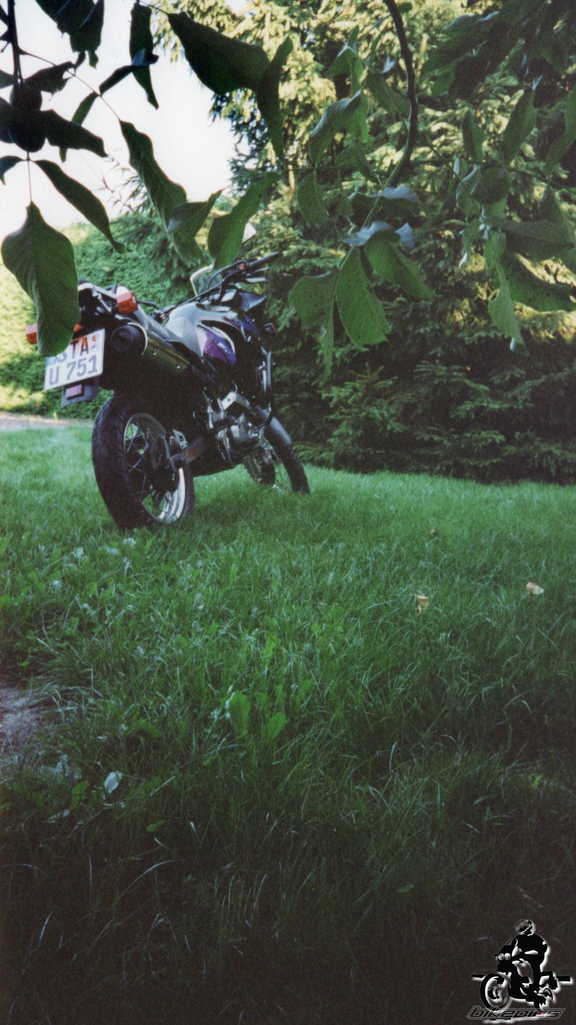 Photo 2528321