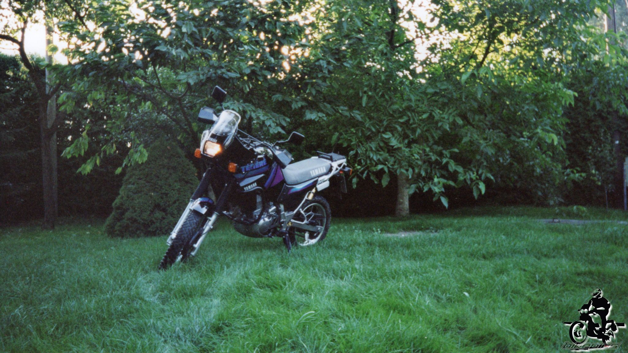 Photo 2528323