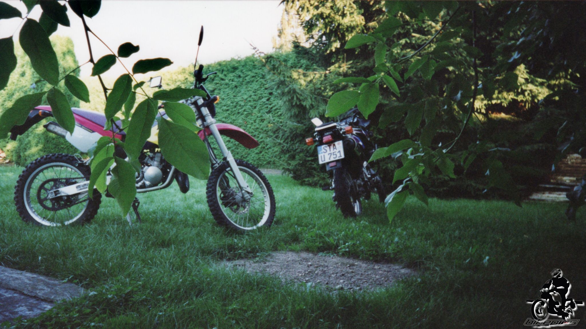 Photo 2528325