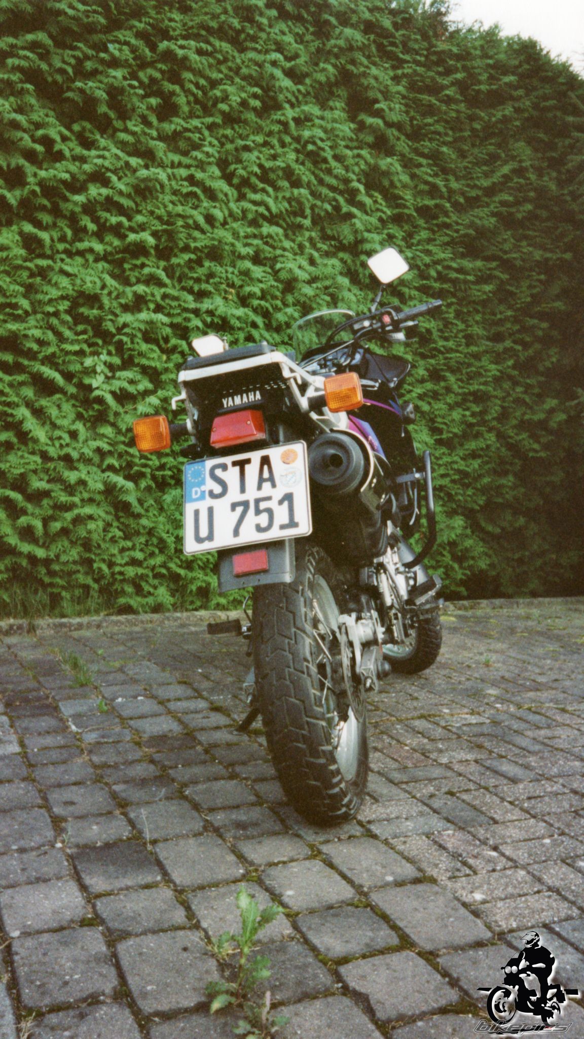 Photo 2528332