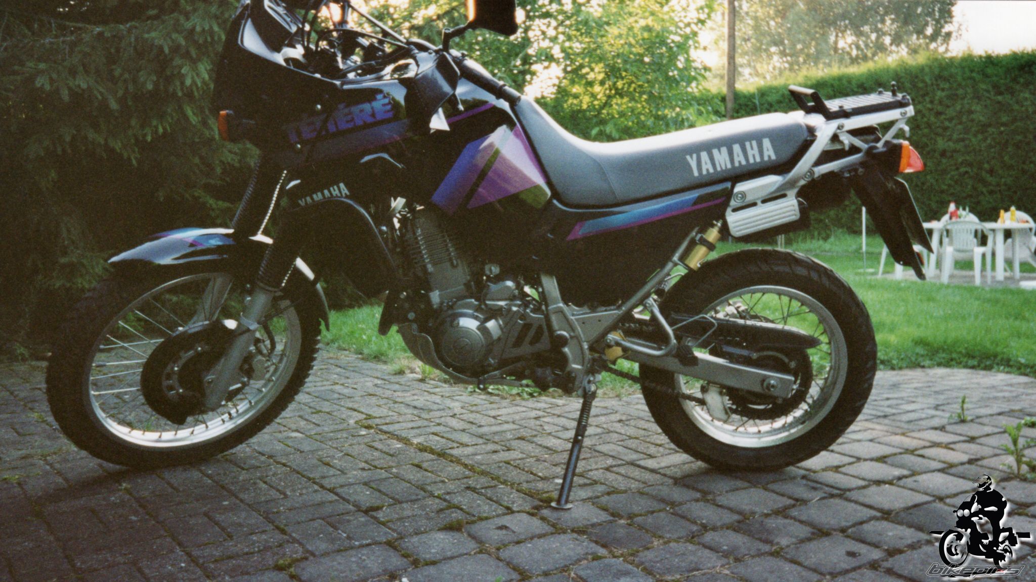 Photo 2528333