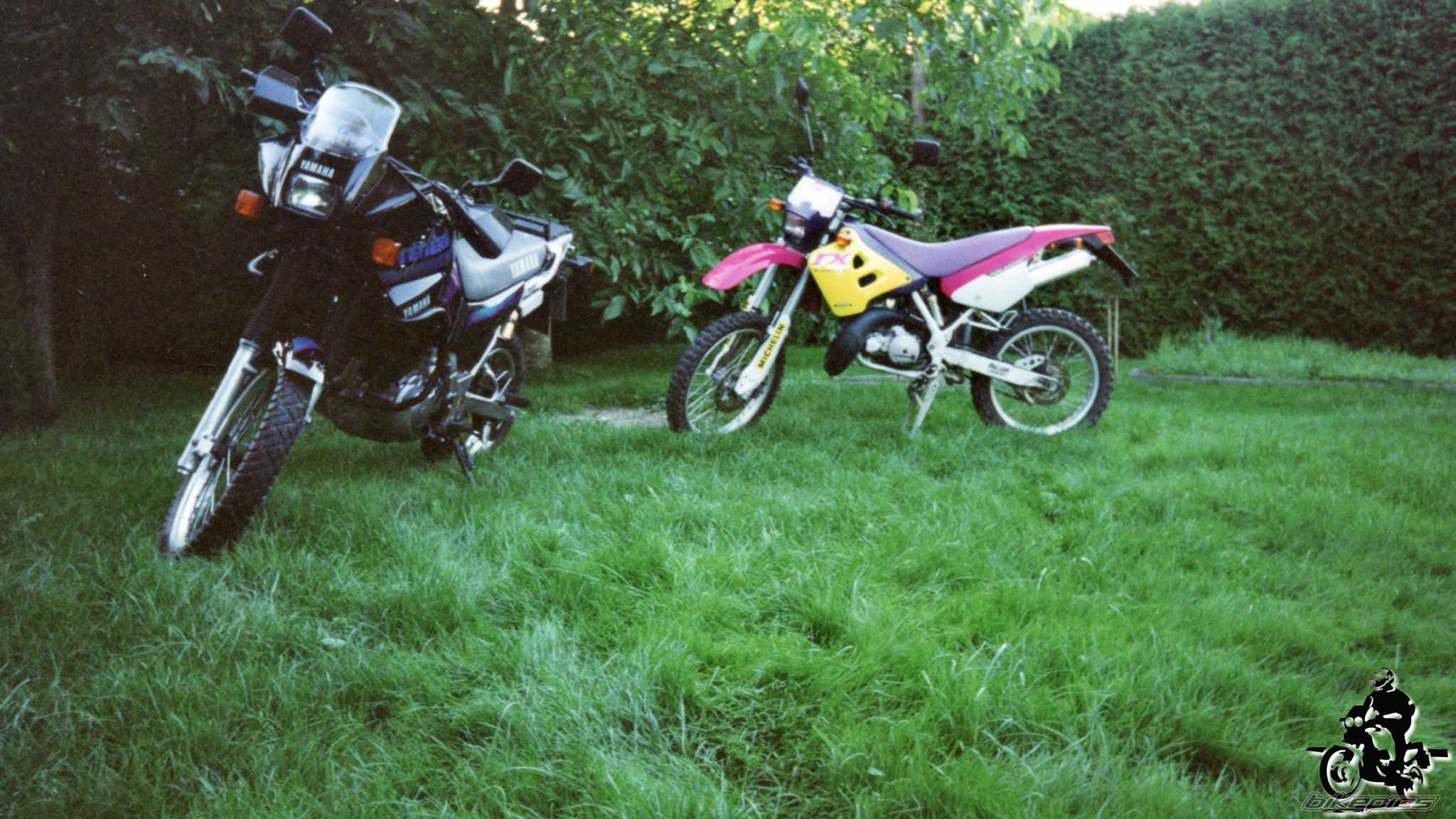 Photo 2528342