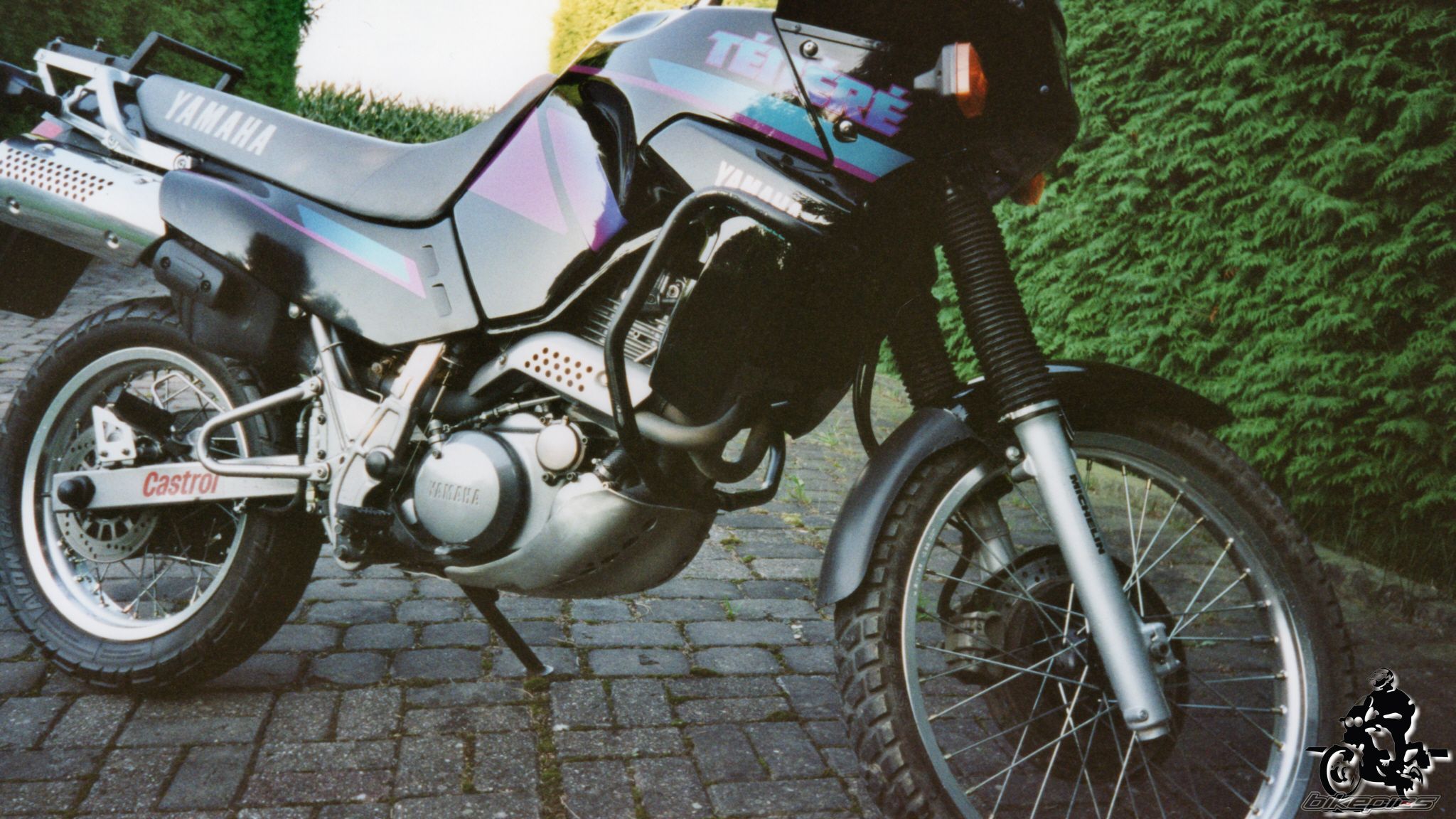 Photo 2528347