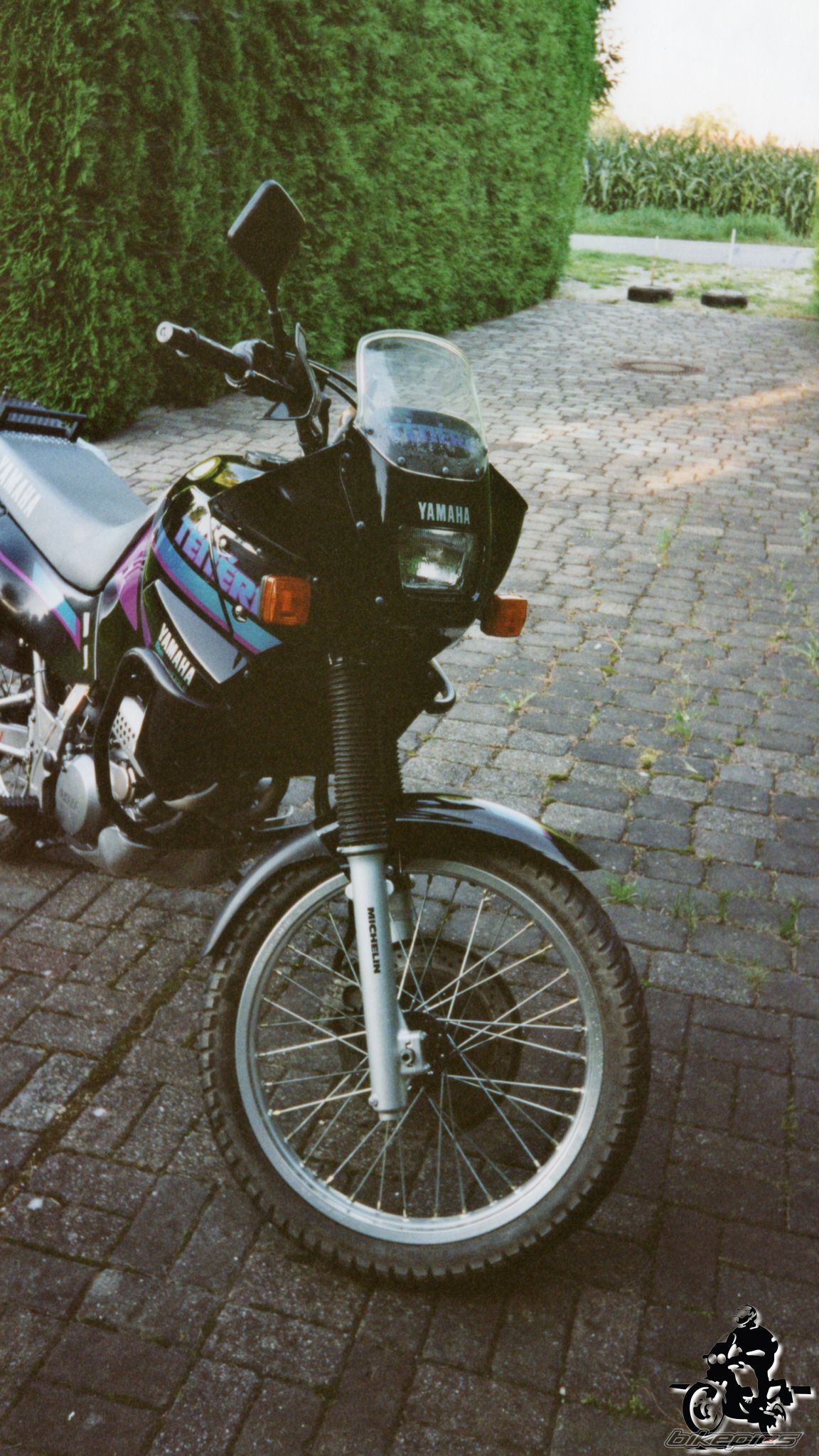 Photo 2528348