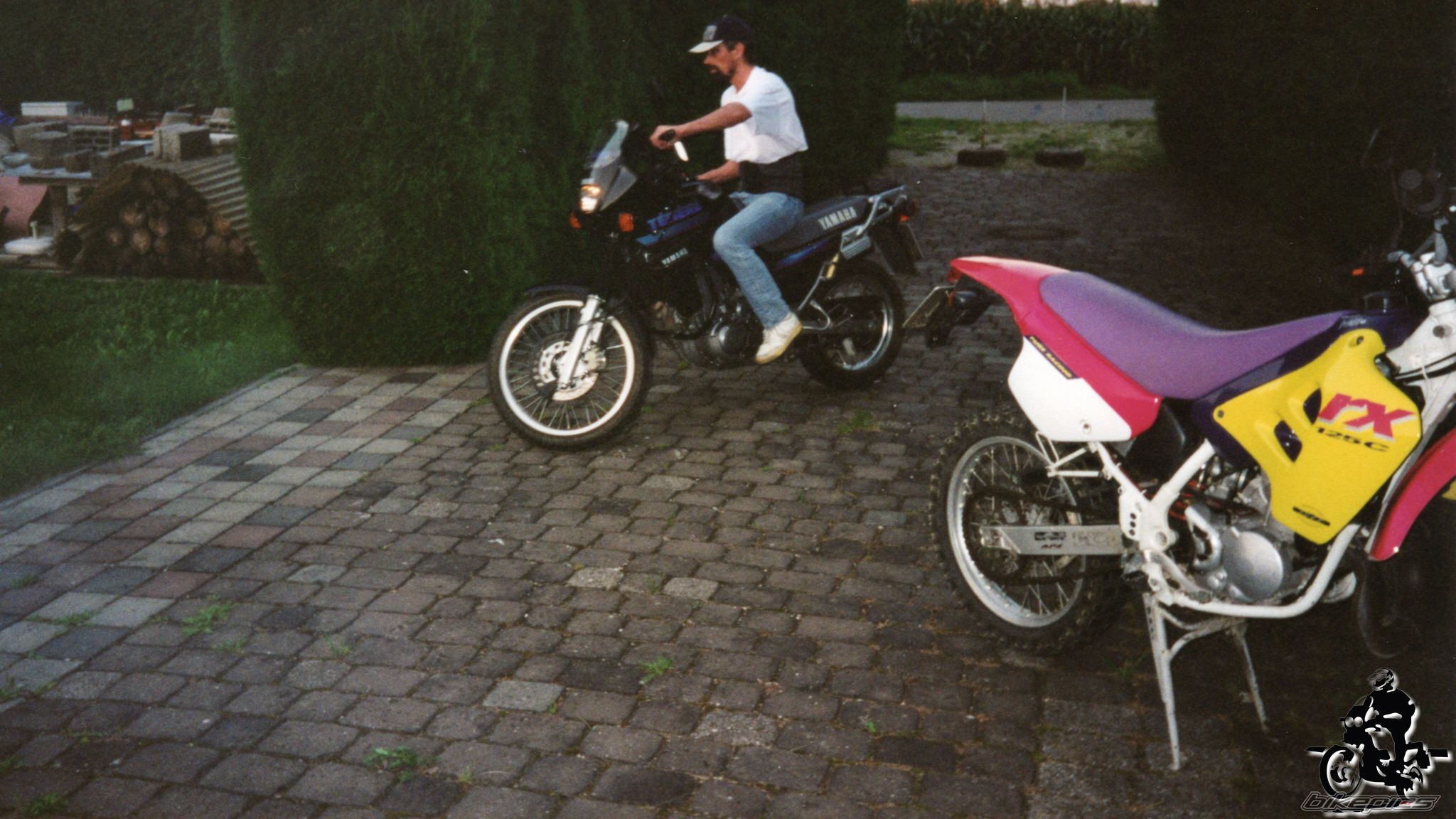Photo 2528356