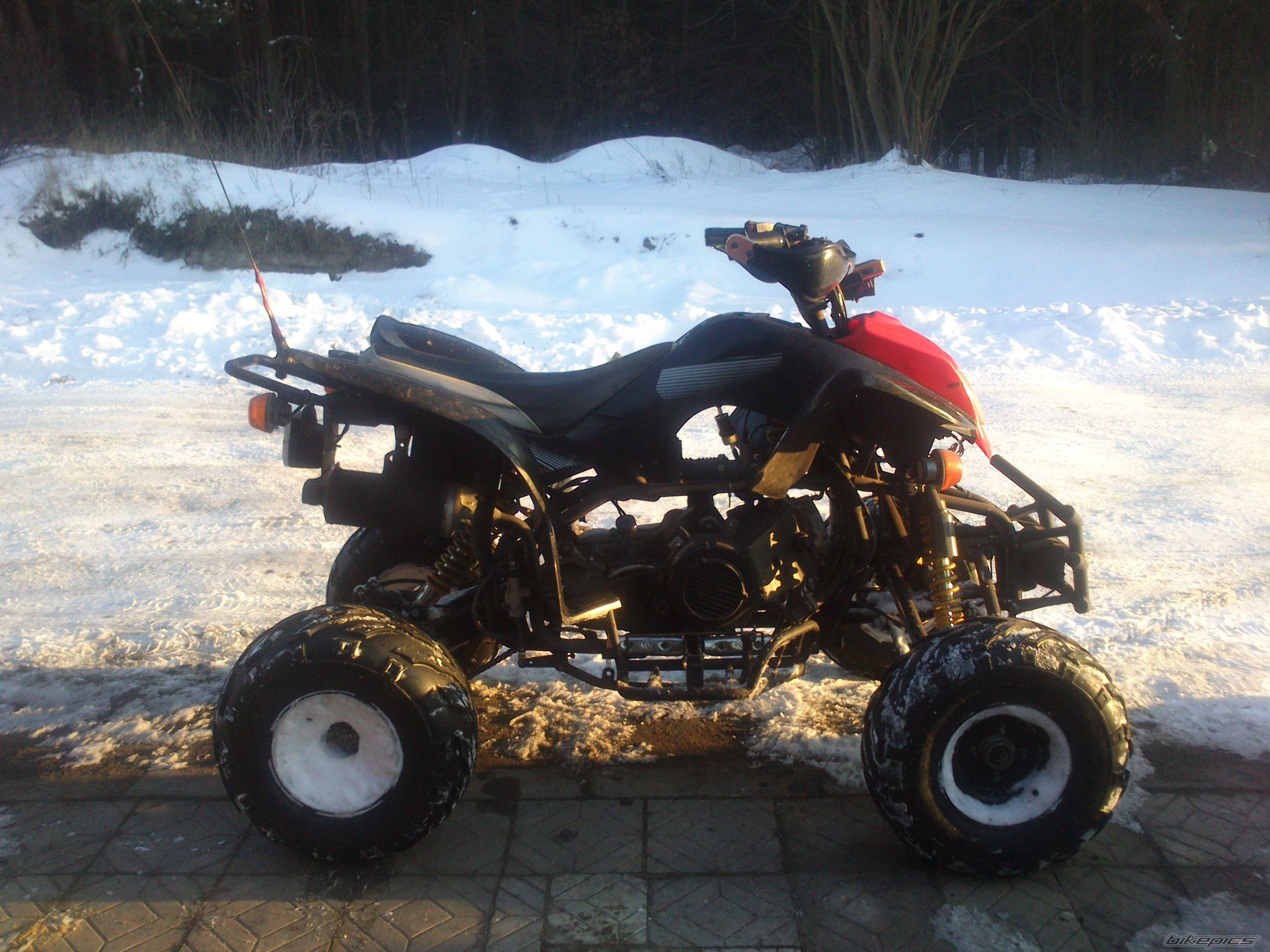 Photo 2528377