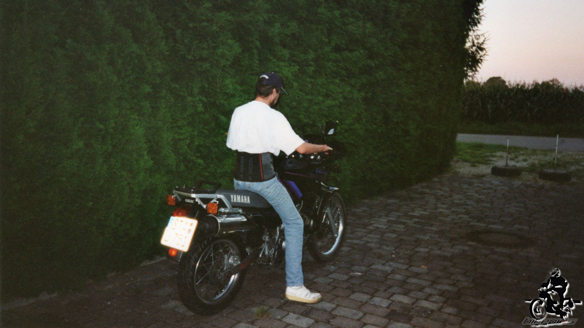 Photo 2528379